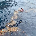 snorkelling in flotasm removing rubbish near phi phi islands